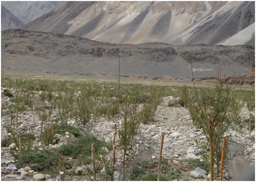 Proposed site at Phobrang